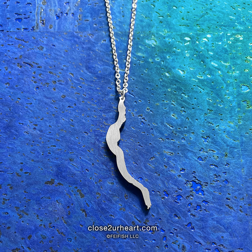 Cayuga Lake Necklace by Close 2 UR Heart #fingerlakes